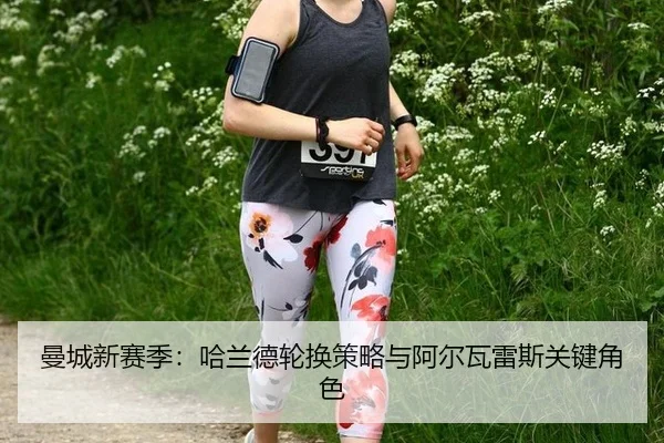 man-cheng-xin-sai-ji-ha-lan-de-lun-huan-ce-lve-yu-a-er-wa-lei-si-guan-jian-jue-se-2-399.jpg