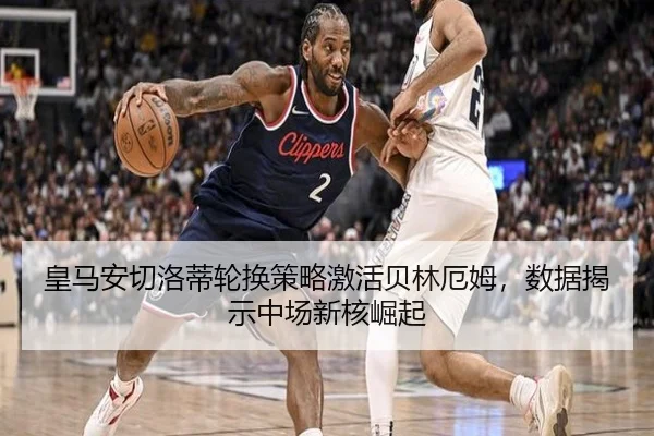 huang-ma-an-qie-luo-di-lun-huan-ce-lve-ji-huo-bei-lin-e-mu-shu-ju-jie-shi-zhong-chang-xin-he-jue-qi-3-547.jpg
